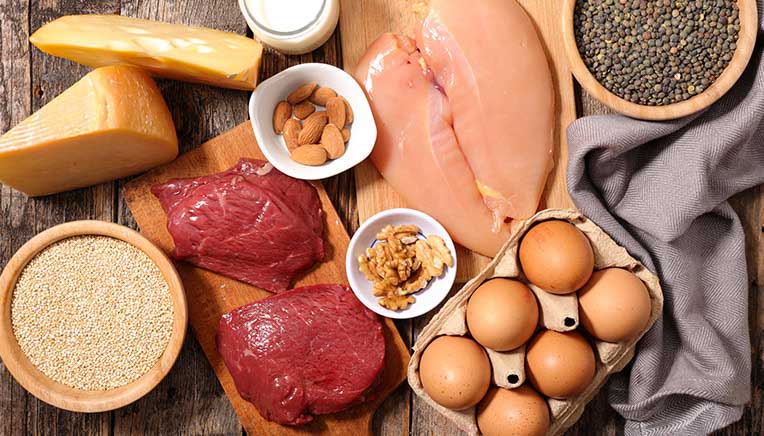 EVERYTHING WORTH KNOWING ABOUT PROTEIN - Nordic Nutrition